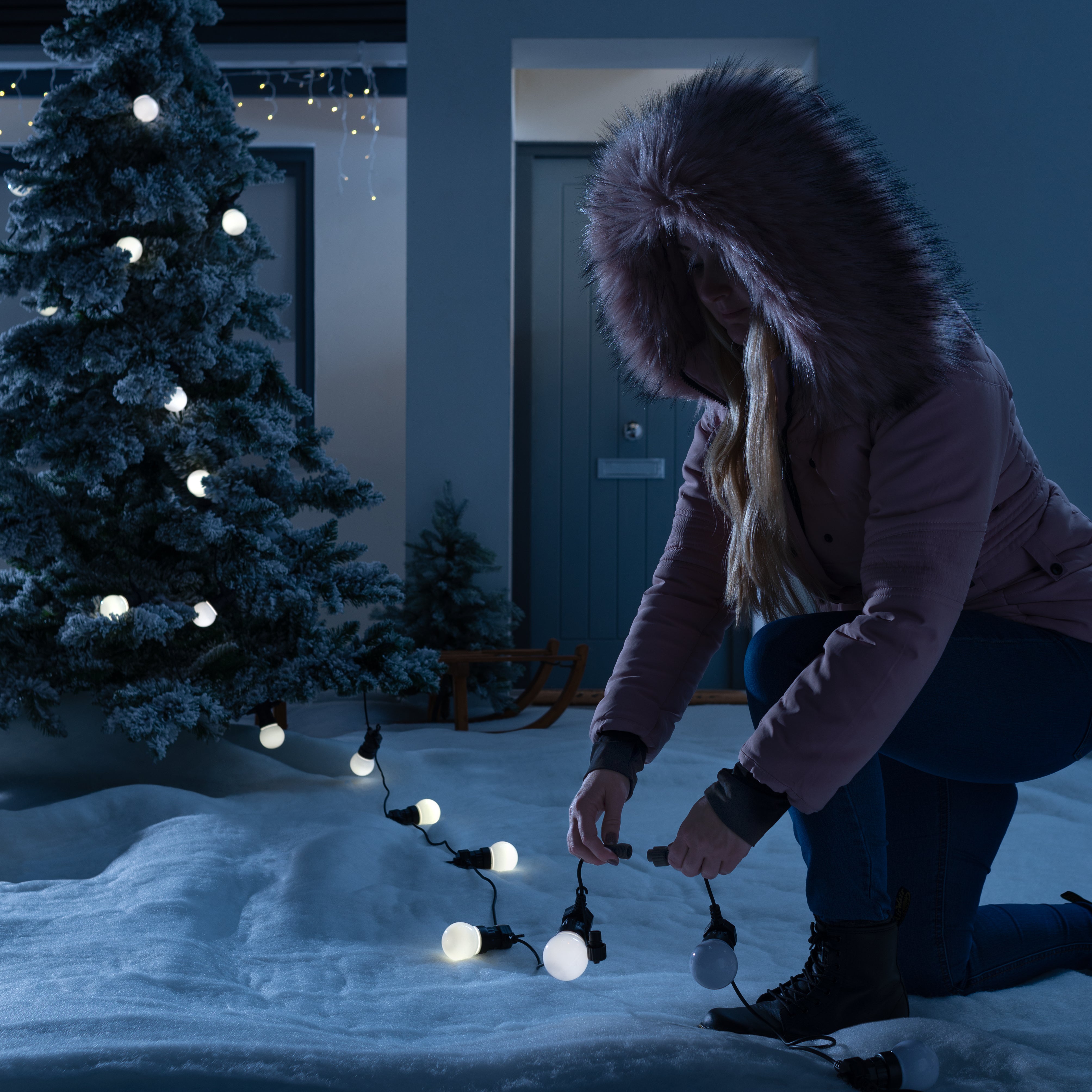 Festoon Lights