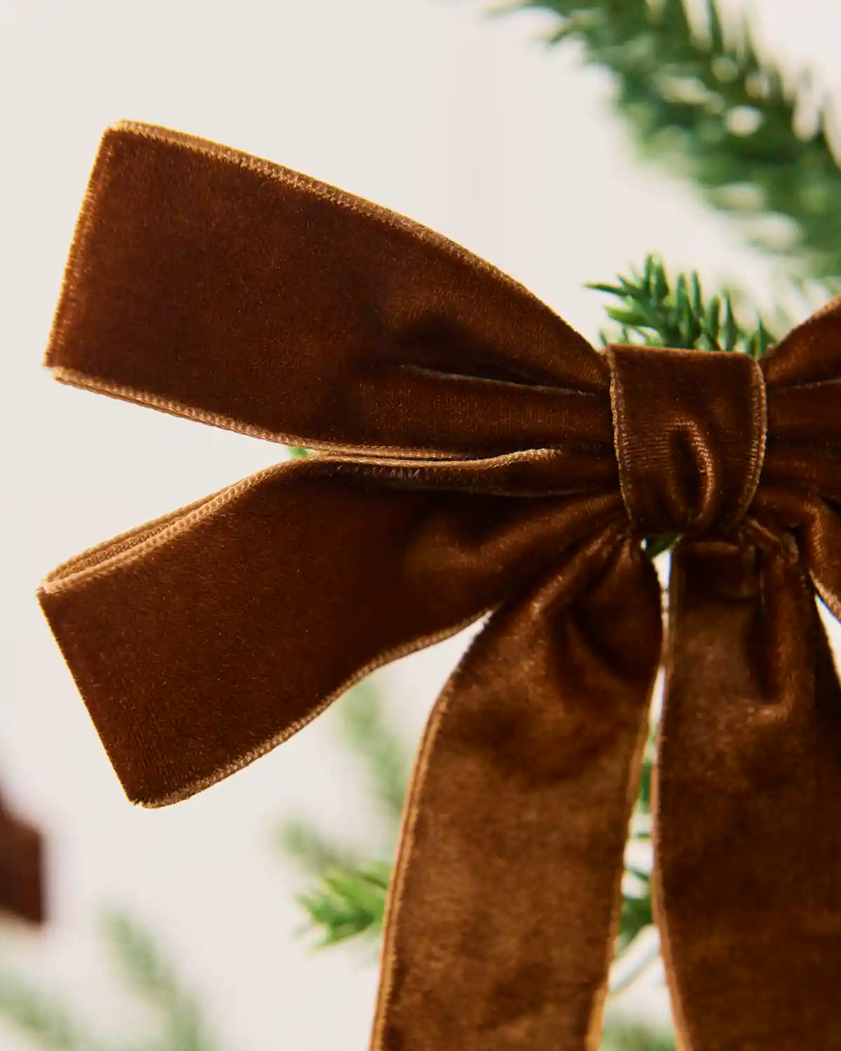 Close-up of an espresso velvet double bow showing layered loops, long tails and soft texture.