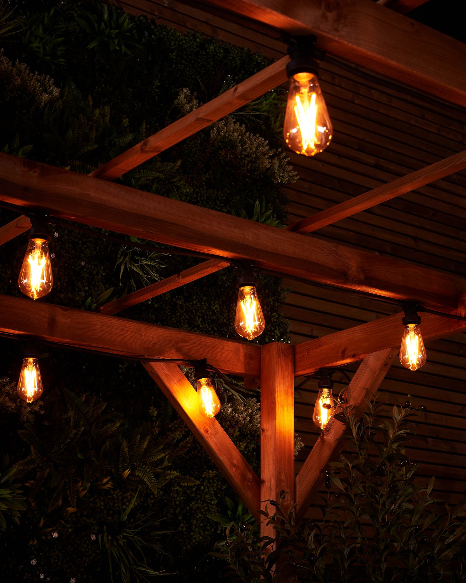 Close-up of warm white teardrop filament bulbs glowing under a wooden pergola with garden foliage behind.
