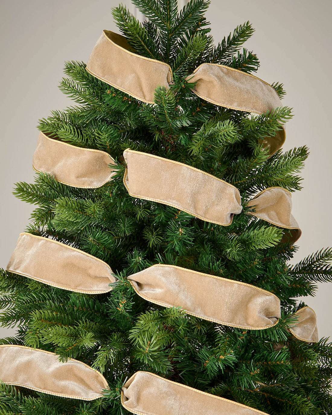 Gold velvet ribbon wrapped around a Christmas tree as a festive decoration.