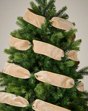 Gold velvet ribbon wrapped around a Christmas tree as a festive decoration.