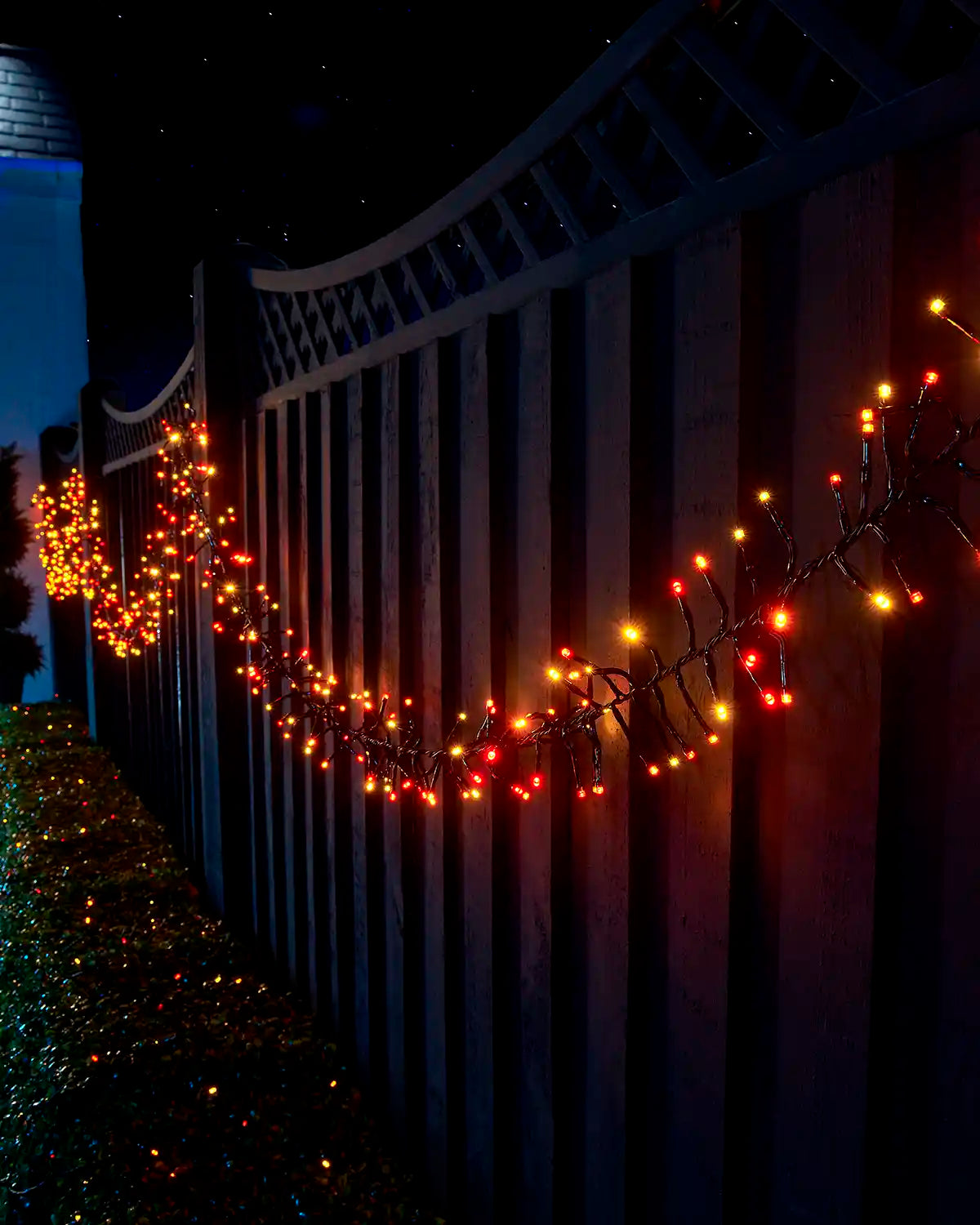 Autumn colour Home Series cluster lights draped along a garden fence beside lit hedging.