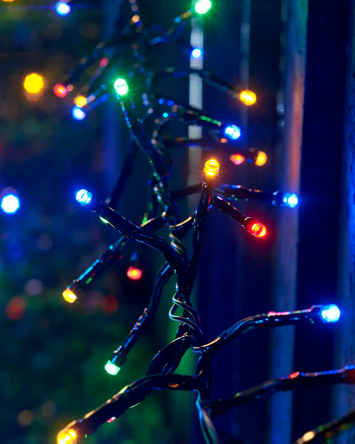 Close-up of multi colour Home Series cluster lights on black cable with red, green, yellow and blue LEDs.