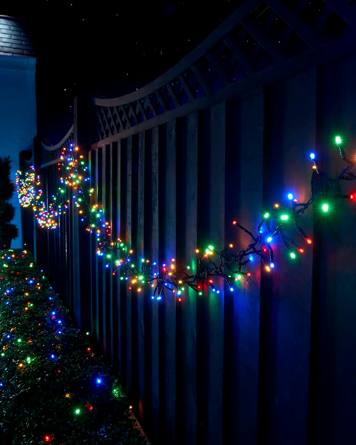 Multi colour Home Series cluster lights draped along a garden fence beside lit hedging.