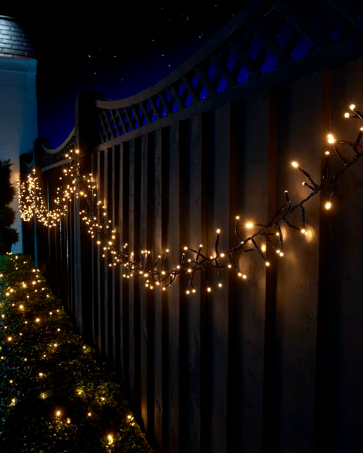 Warm white Home Series cluster lights hung along a garden fence beside lit hedging.