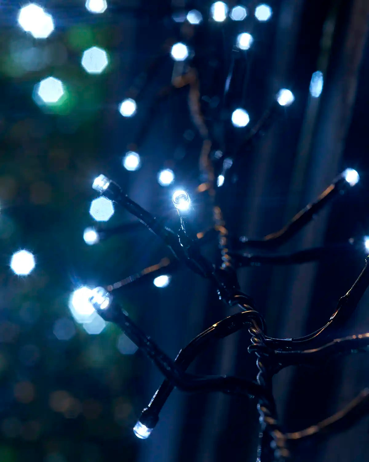 Close-up of white Home Series cluster lights on black cable with a bright LED glow.