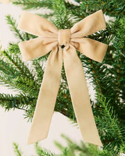 Latte 16.5 cm velvet double bow with long tails attached to a Christmas tree branch.