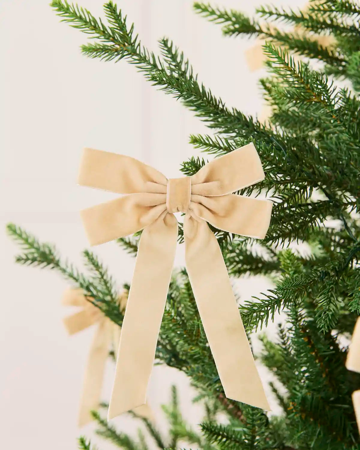 Latte velvet double bow displayed among matching bows on a Christmas tree.