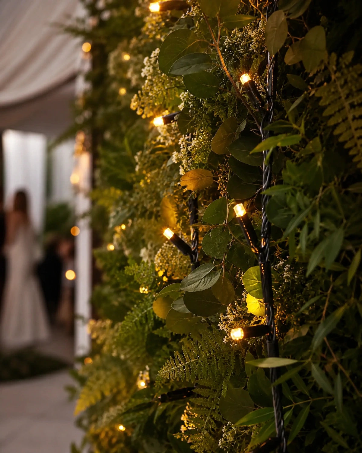 Pro Series Connectable Wedding String Lights, Warm White
