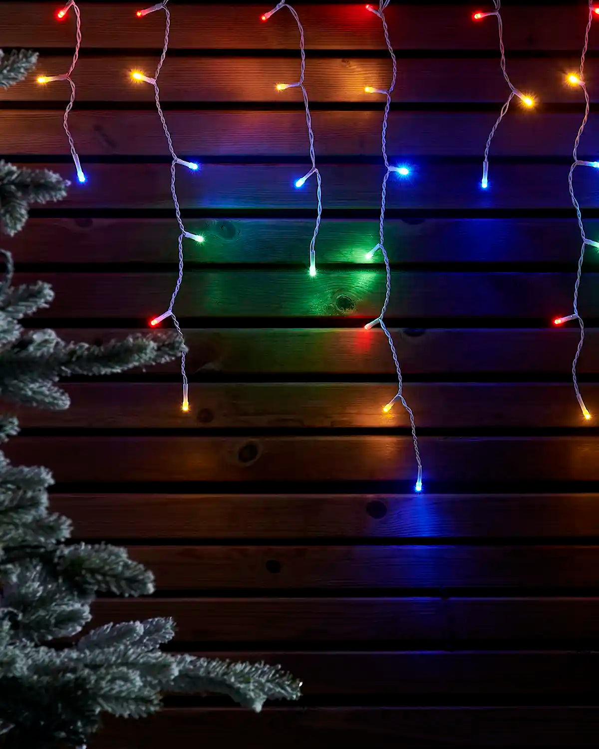 Multi-colour icicle lights with white cable hanging against a wooden wall beside a frosted Christmas tree.