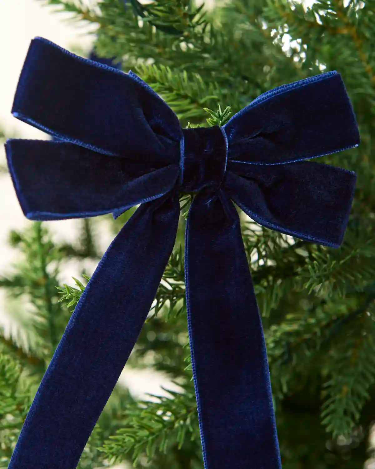 Close-up of a navy velvet double bow showing the soft texture, layered loops and centre knot.