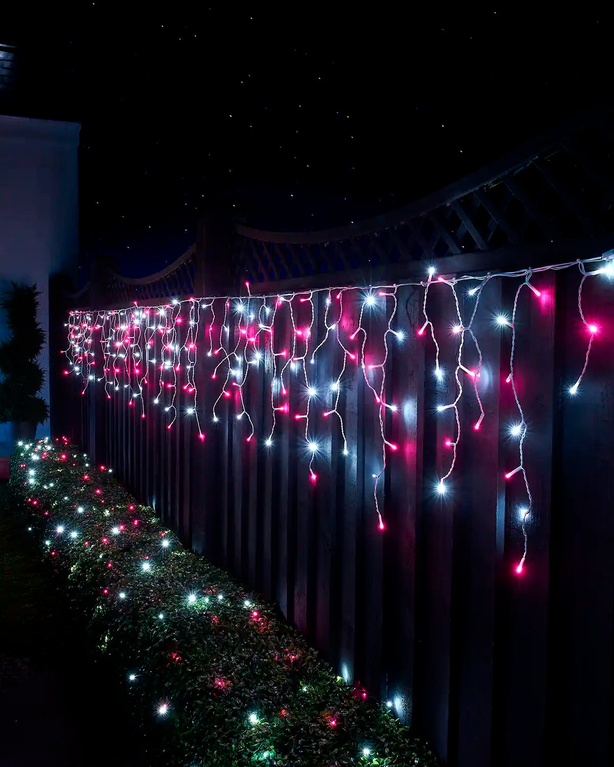 Pink and white icicle lights with white cable displayed along a garden fence above a lit hedge at night.
