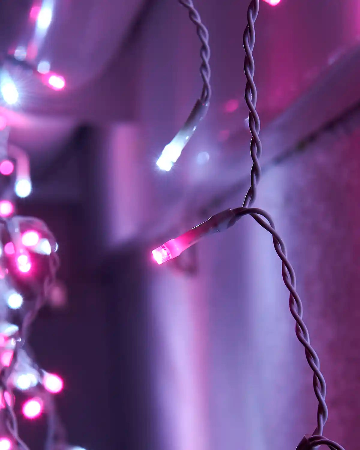 Close-up of pink and white LED bulbs on icicle lights with white cable.
