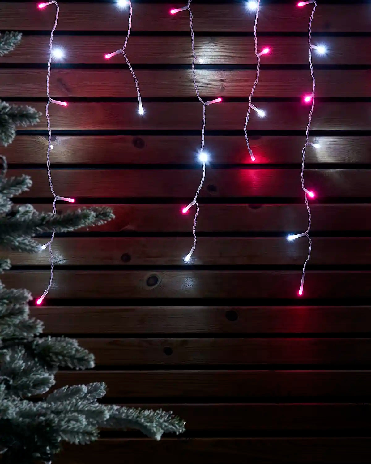 Pink and white icicle lights with white cable hanging against a wooden wall beside a frosted Christmas tree.