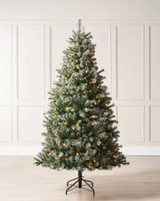 Full indoor view of a pre-lit Blue Brockton spruce Christmas tree with warm white lights, light frosted detailing, pinecones and a metal tree stand against wall panelling.