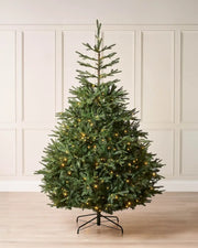 Pre-lit Grand Nordmann fir Christmas tree with warm white lights and a black metal tree stand.