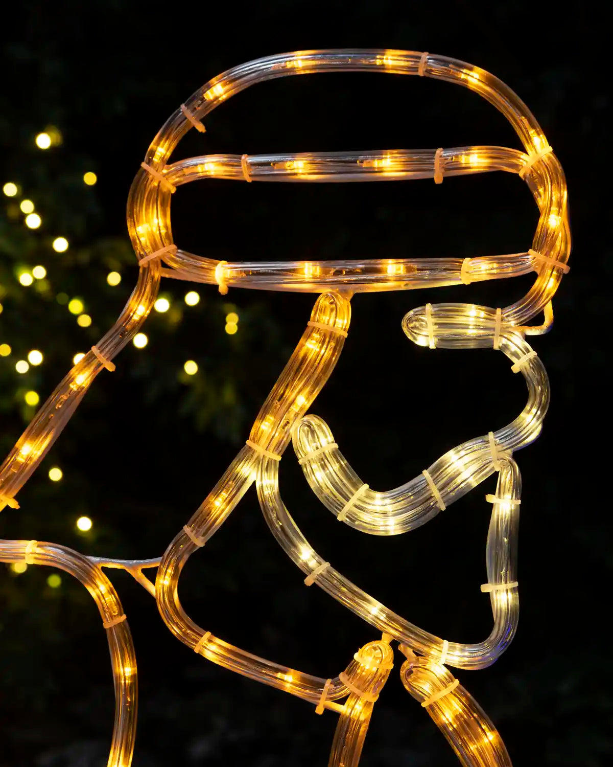 Close-up of Joseph outlined with warm white illuminated rope lights.