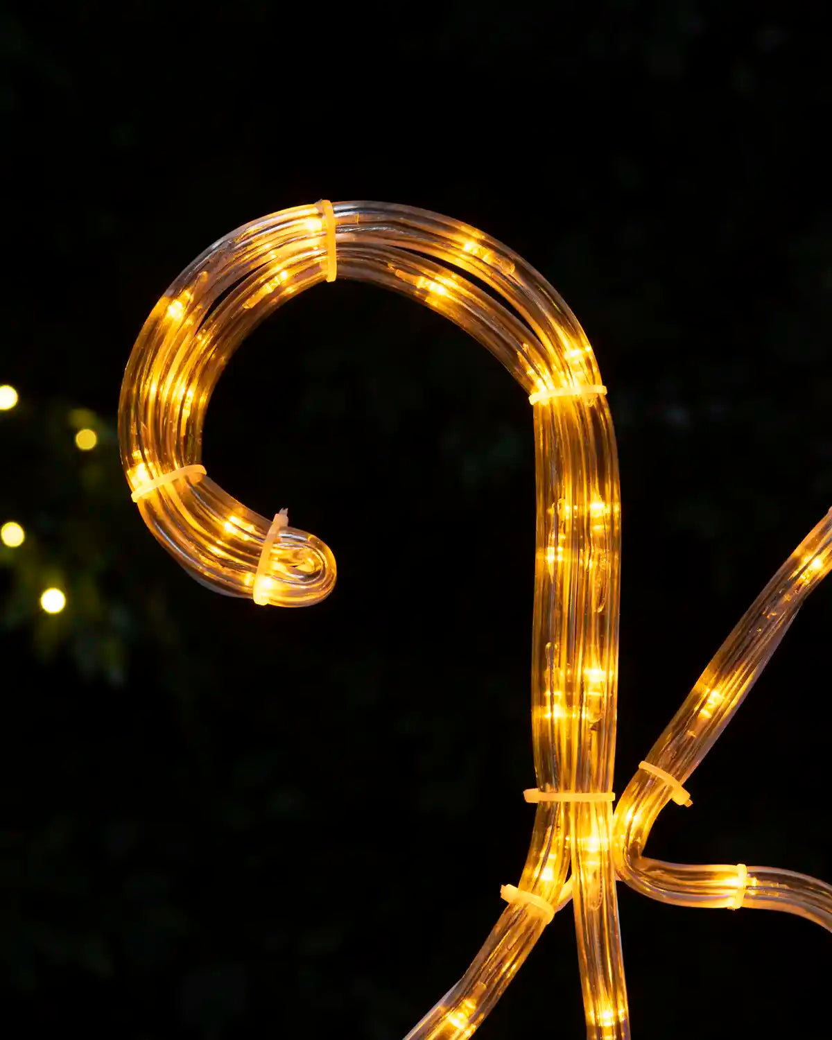 Close-up of Joseph's curved staff illuminated with warm white rope lights.