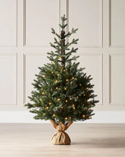 4 ft green artificial Christmas tree with warm lights displayed in a room