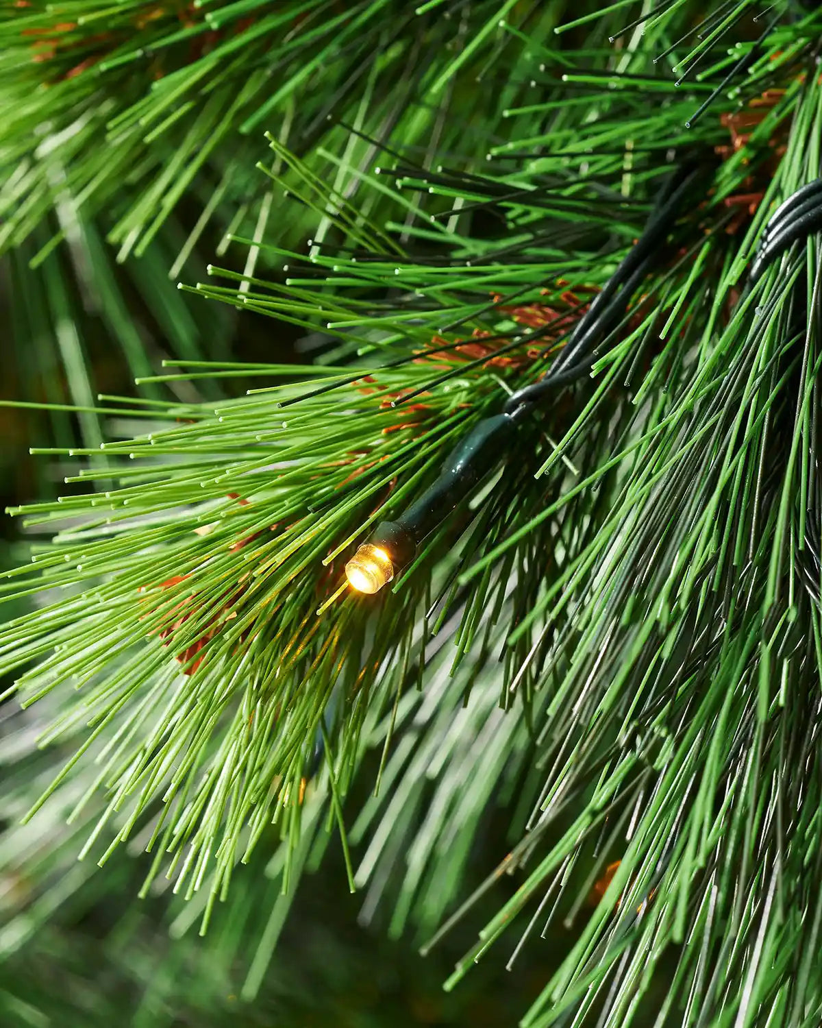 Close-up of warm white LED light on 6.5 ft Portland Spruce Christmas tree branches
