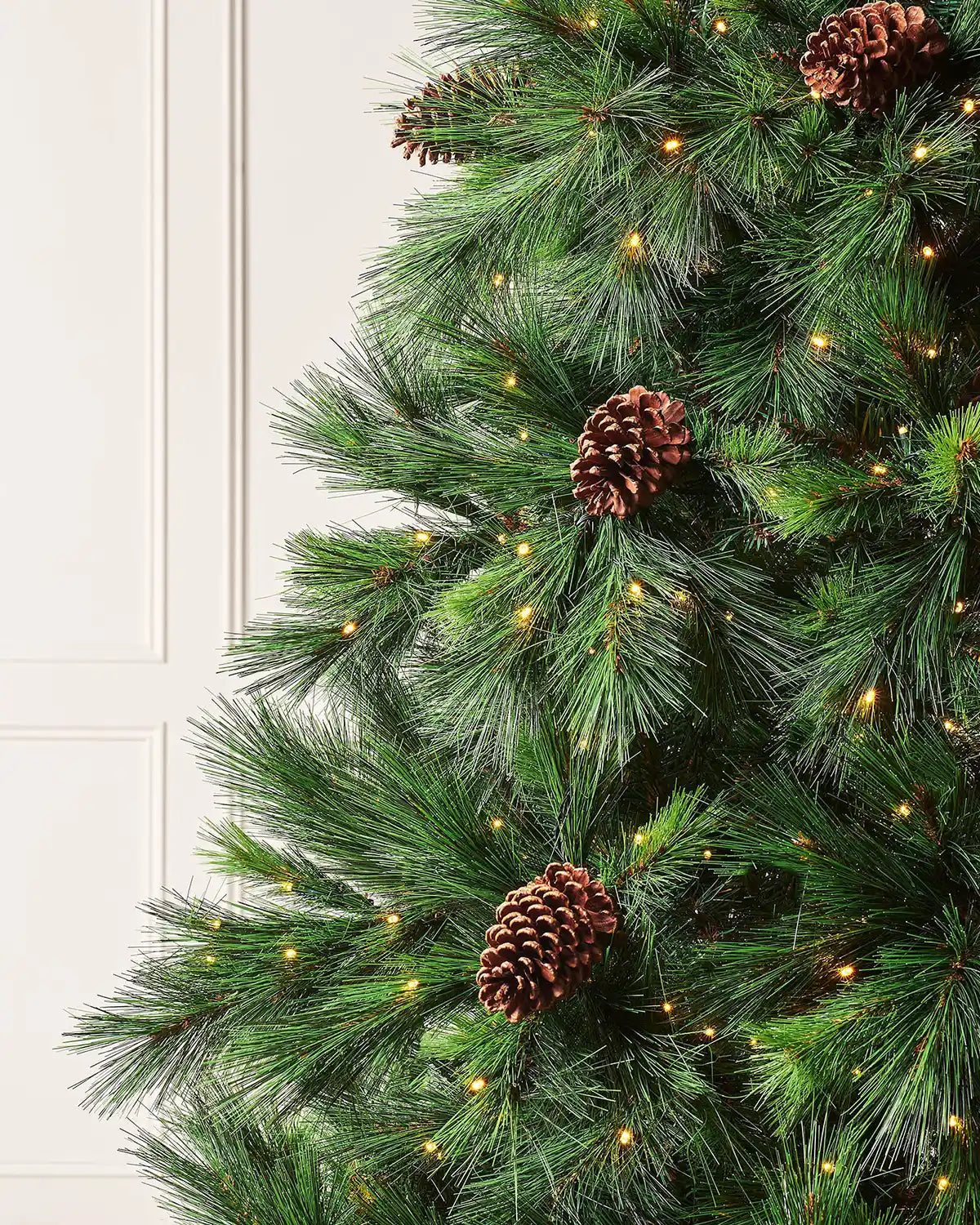 Close-up of Portland Spruce Christmas tree branches with pinecones and warm white lights