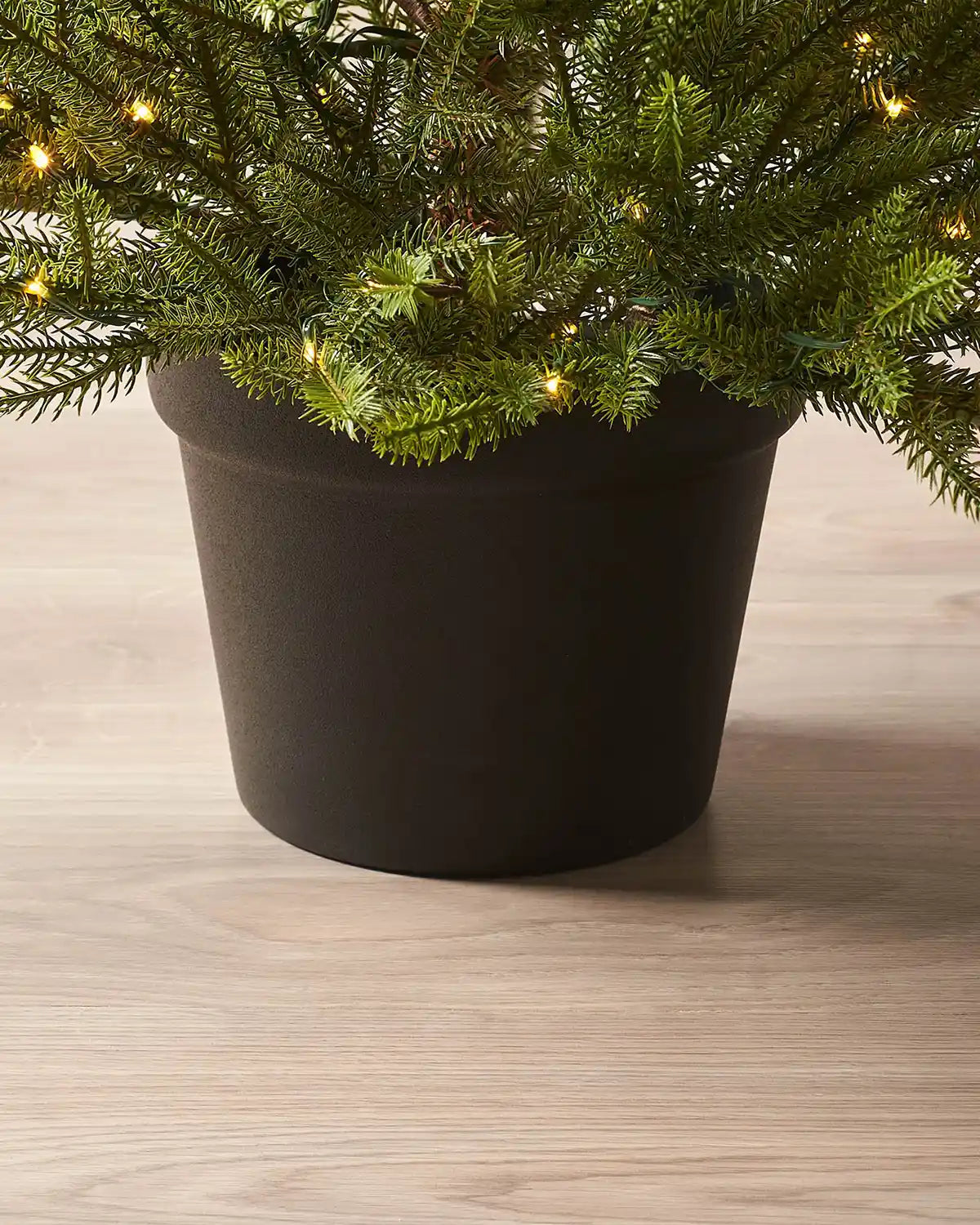 Matte black pot detail of 3 ft pre-lit potted Douglas fir Christmas tree