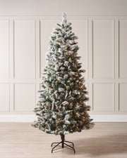 Pre-lit slim snow flocked spruce Christmas tree with warm white lights and a black metal tree stand.