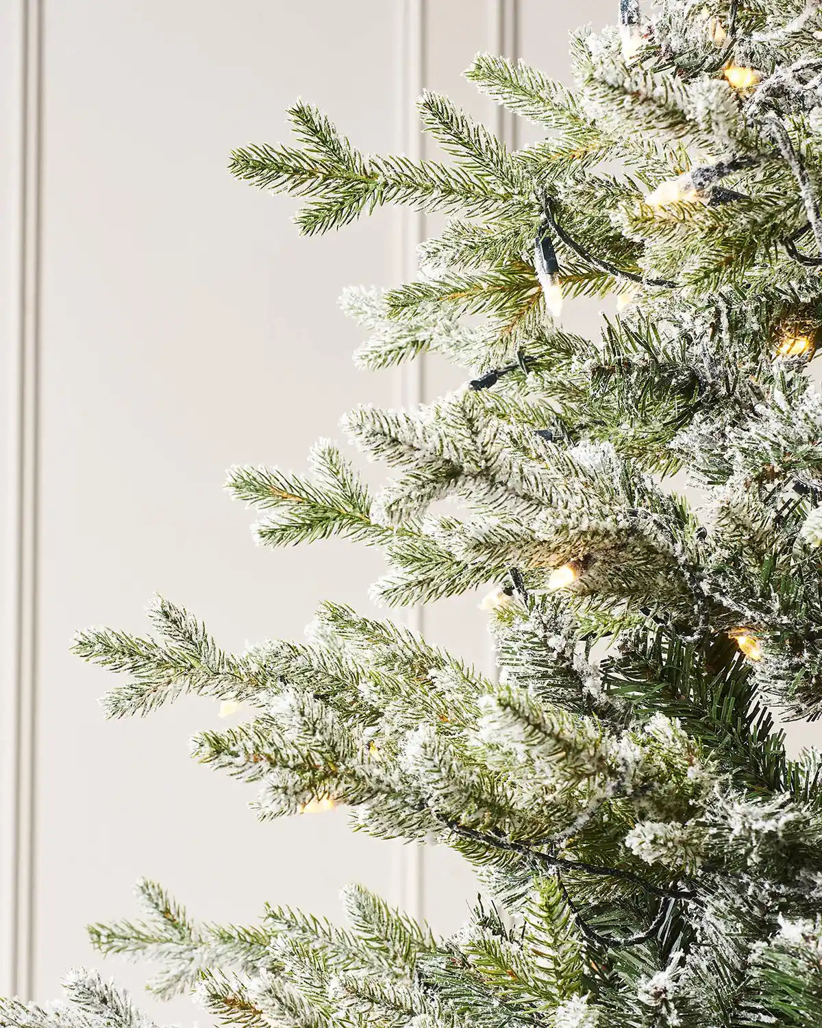 Close-up of snow flocked Fraser fir branches with warm lights