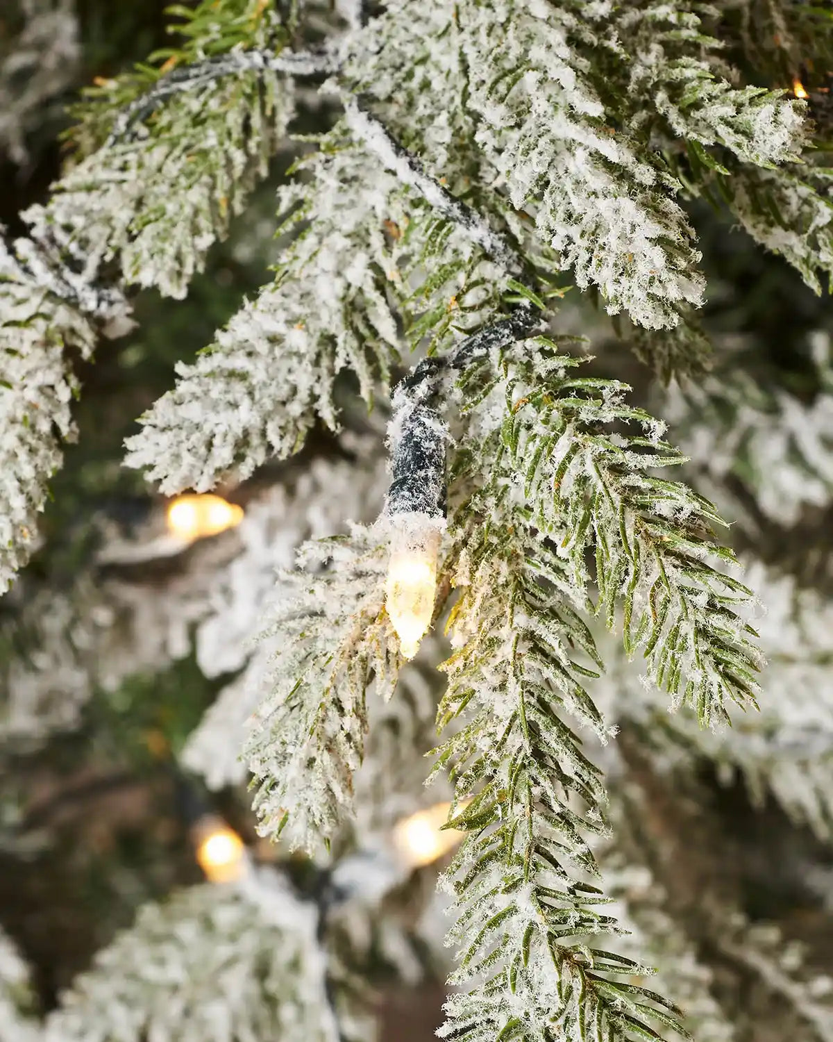 Close-up of candle-style warm white lights on flocked Christmas tree branches