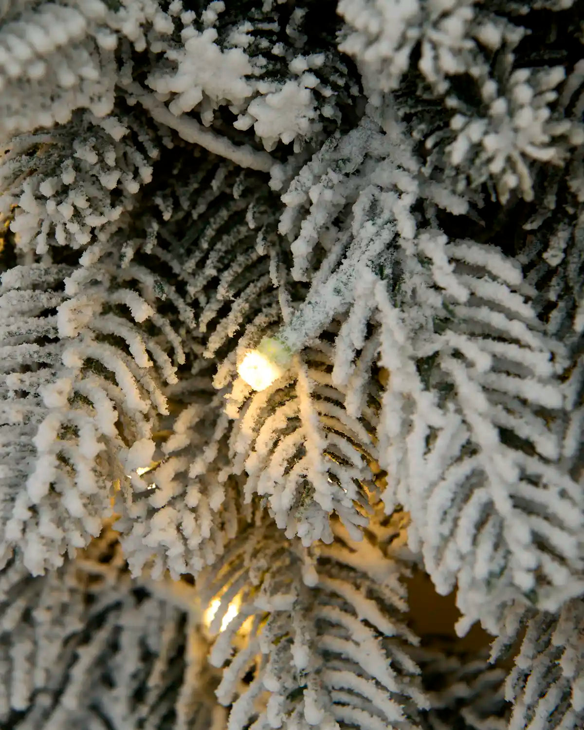 Close-up of a warm white LED illuminated among the heavily snow-flocked green foliage.