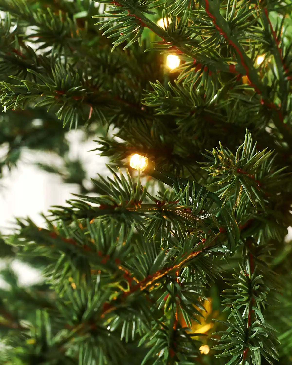 Close-up of warm white LED lights nestled among green fir branches
