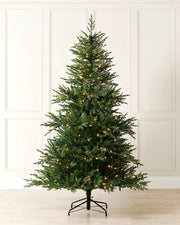 6 ft pre-lit traditional fir Christmas tree with warm white lights displayed in a room