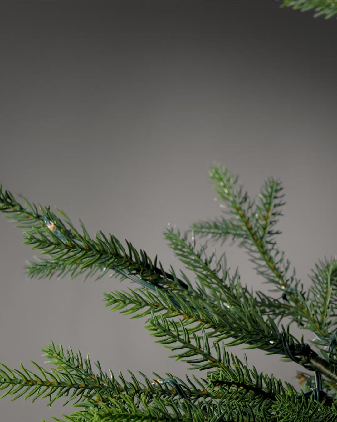 Load video: Set of 3 Silver Artificial Poinsettia Flowers with Clip, 12 cm