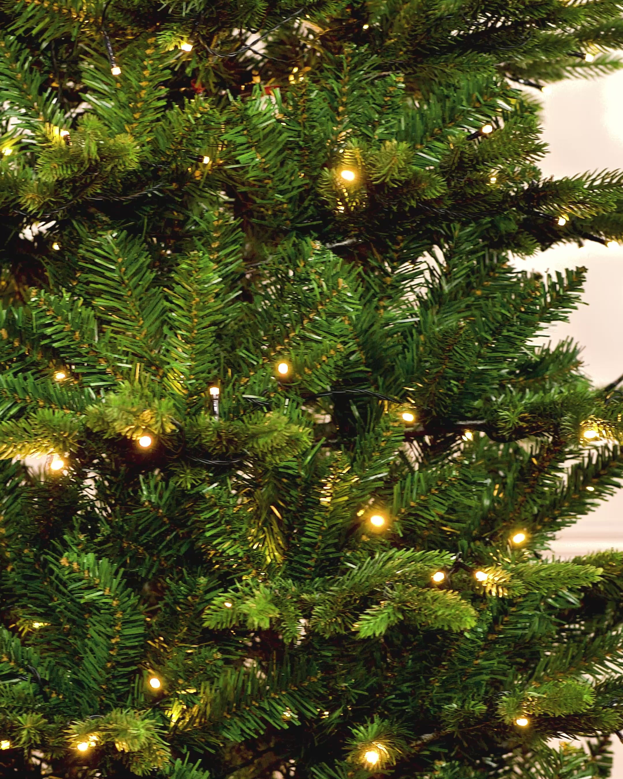 Load video: Pre-Lit Himalayan Fir Christmas Tree, 7 ft