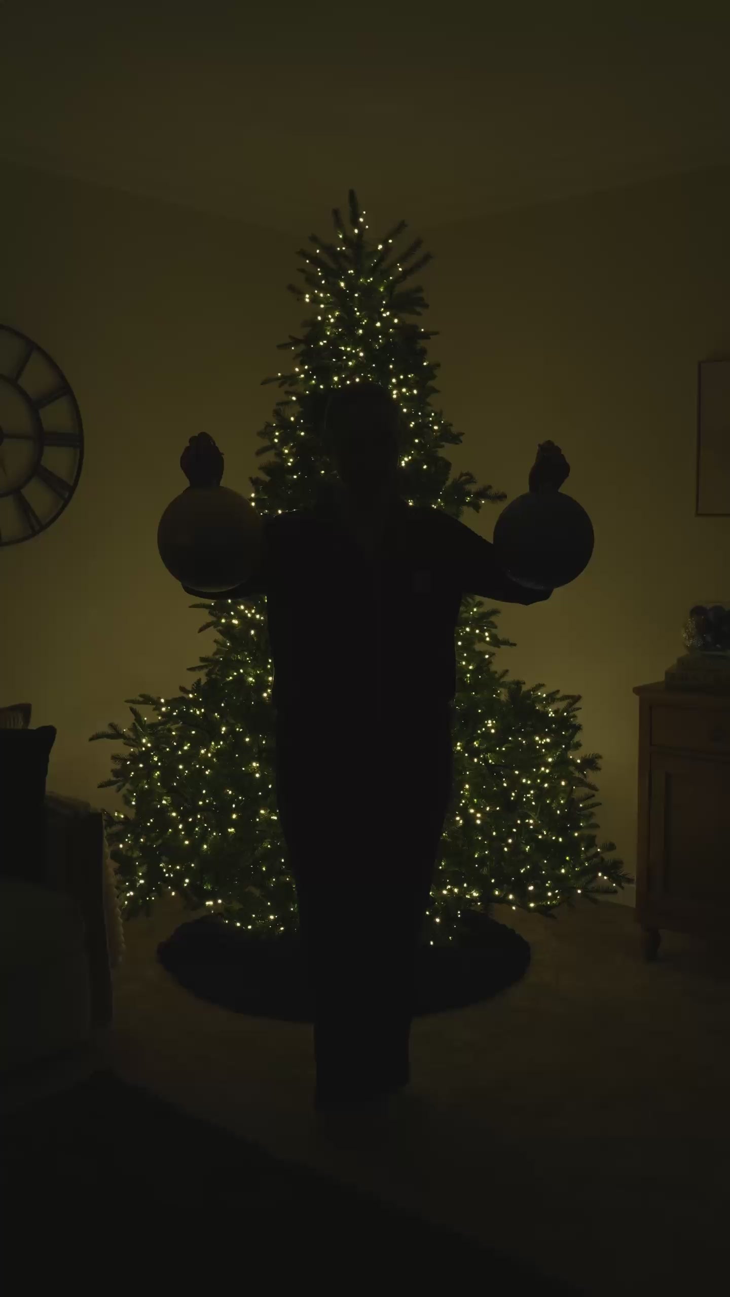 Load video: 