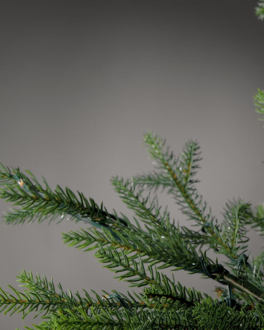 Load video: Set of 3 Red Artificial Poinsettia Flowers with Clip, 12 cm