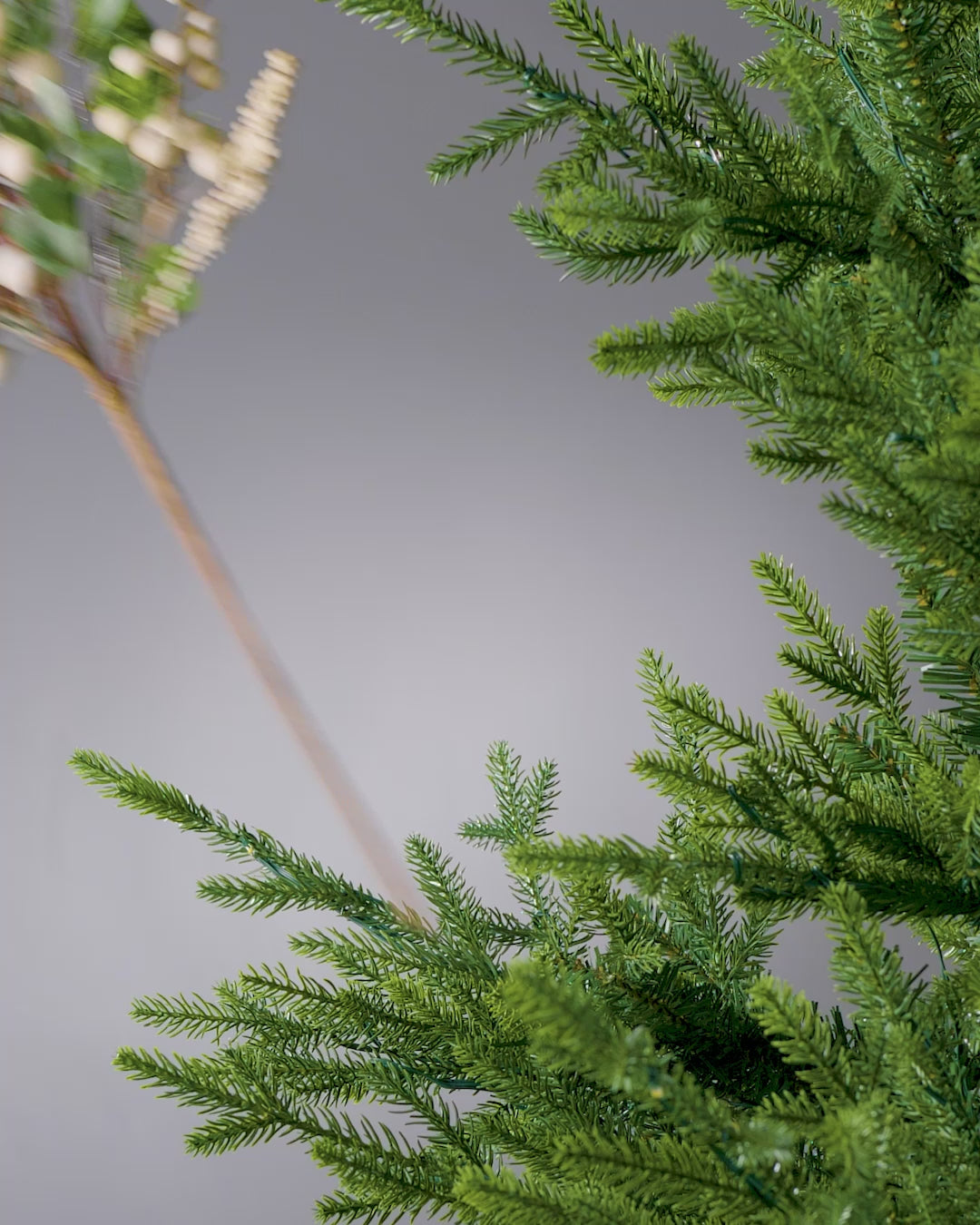 Load video: Mistletoe Pick, 63 cm