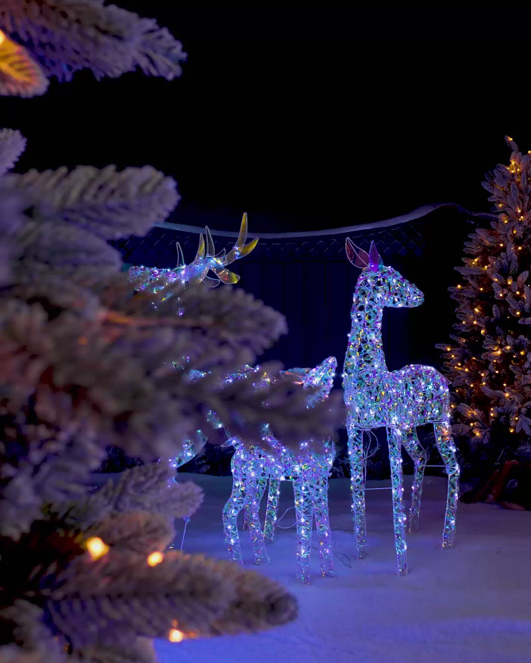 Load video: Pre-Lit 3D Iridescent Reindeer Family Silhouette, 125 cm