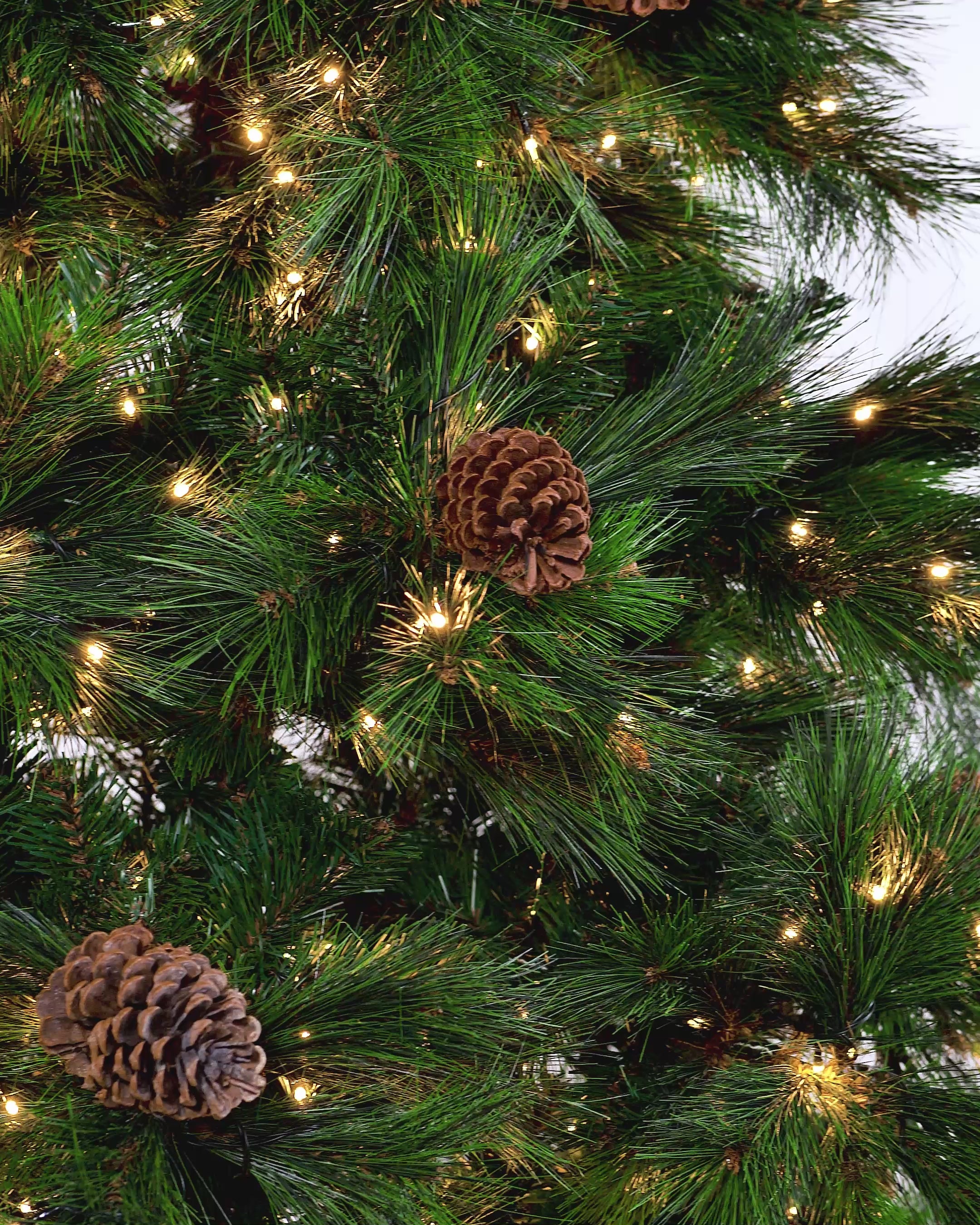 Load video: A 7-foot pre-lit Portland spruce Christmas tree with pinecones and warm white LED lights, placed in a living room with neutral décor.