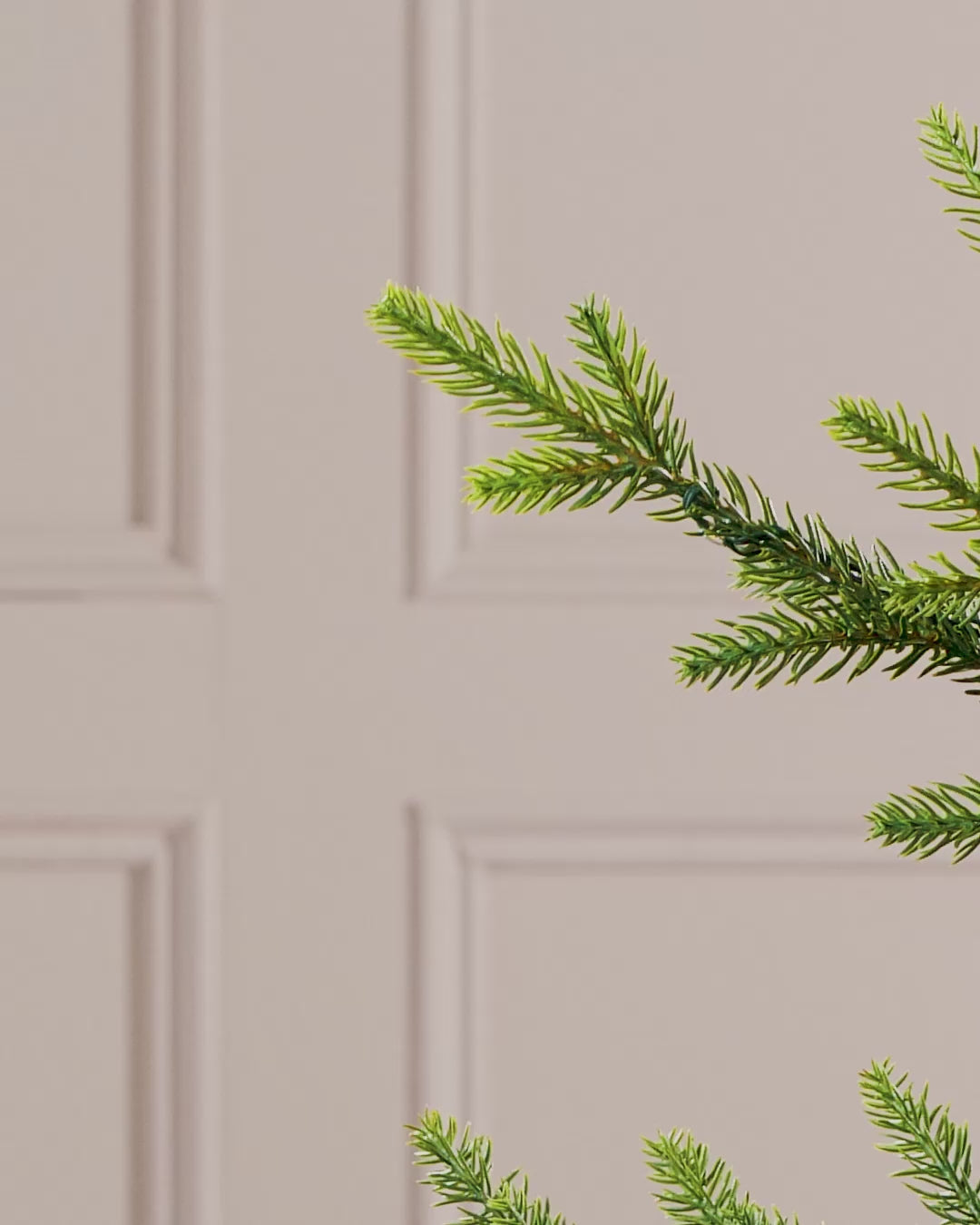 Load video: Set of 20 Velvet Bows, Red, 13 cm