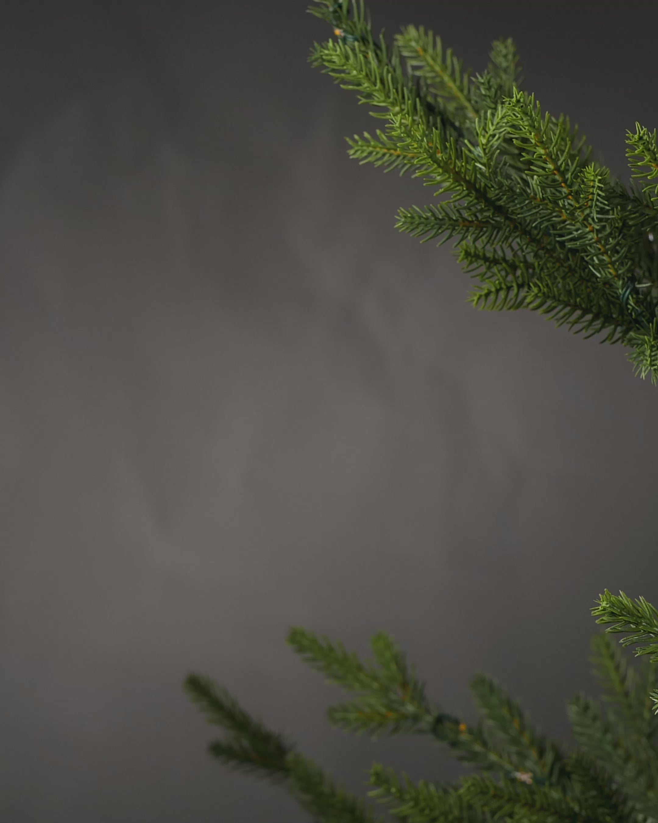 Load video: Set of 12 Paper Decorations, Mocha, 10 cm