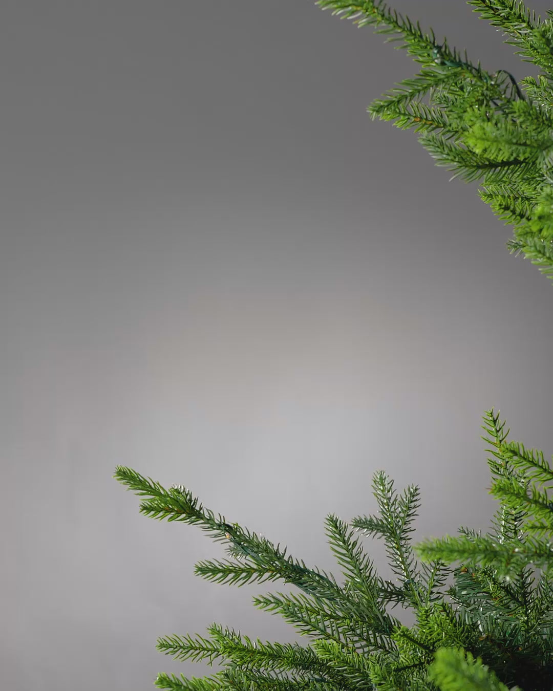 Load video: Beaded Crystal Spray, Gold, 70 cm