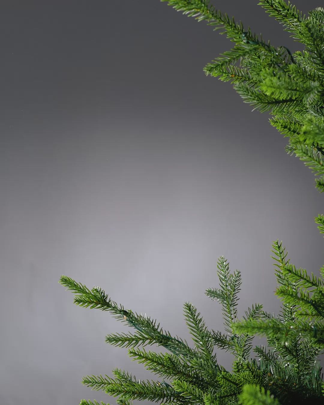 Load video: Snow Flocked Pinecone Spray, 77 cm