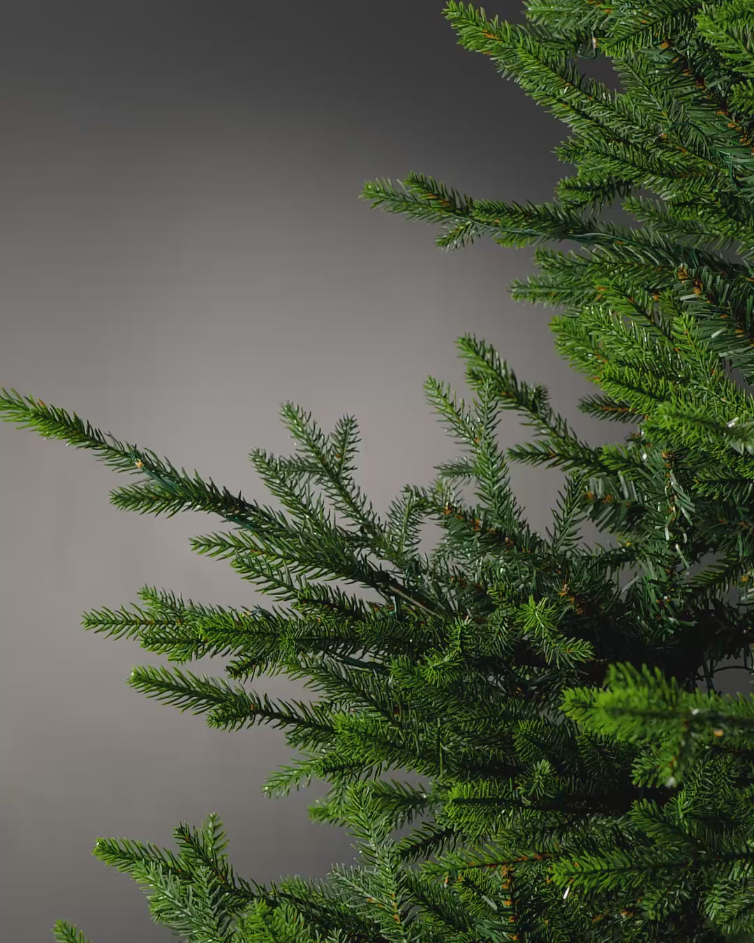 Load video: Black Artificial Poinsettia Flower, 25 cm