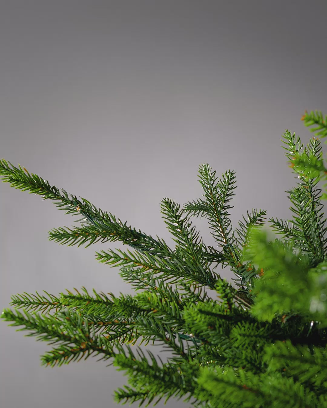 Load video: Artificial Frosted Berries and Pinecones Pick, 20 cm