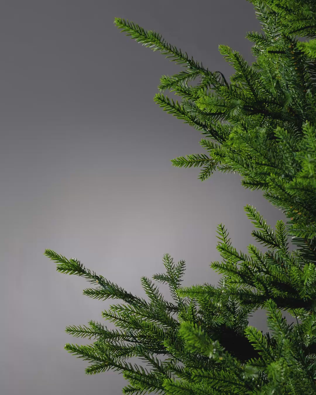 Load video: Gold Leaf Christmas Tree Spray, 80 cm