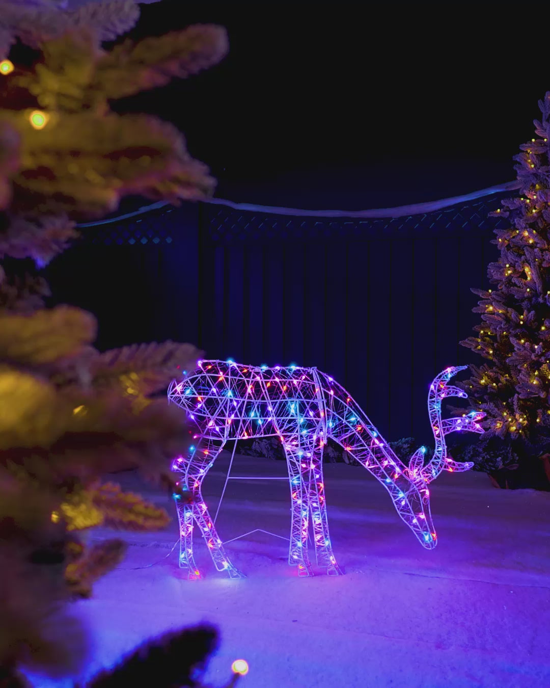 Load video: Pre-Lit 2D Aurora Grazing Reindeer, 95 cm