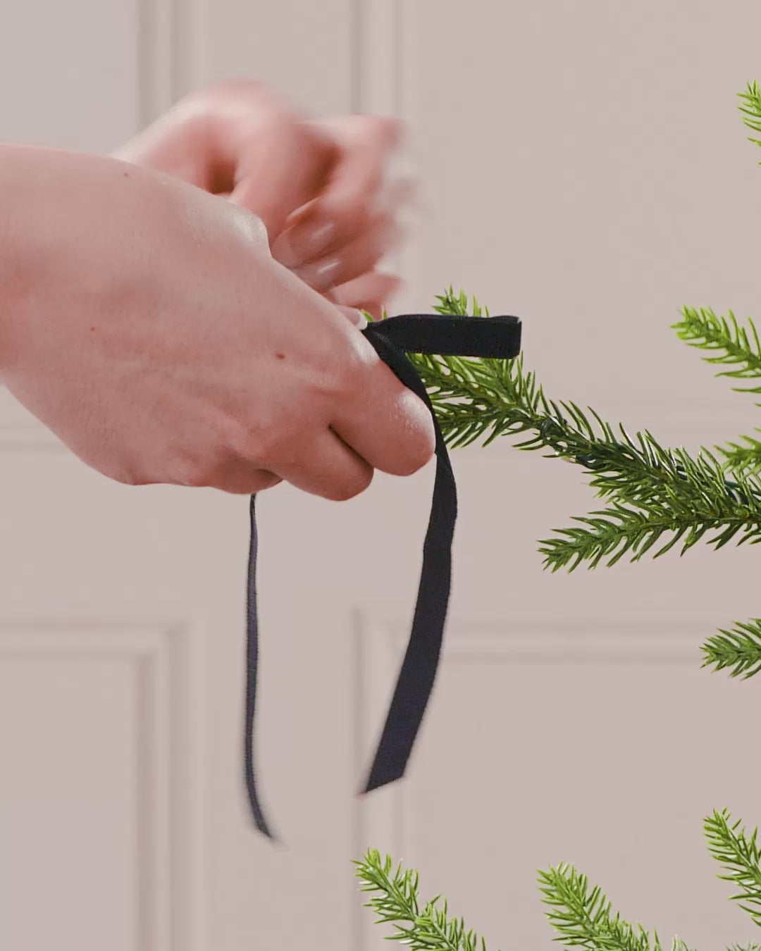 Load video: Set of 20 Velvet Bows, Black, 13 cm