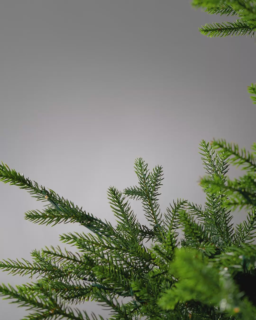 Load video: Mixed Berries Spray, Red, 40 cm