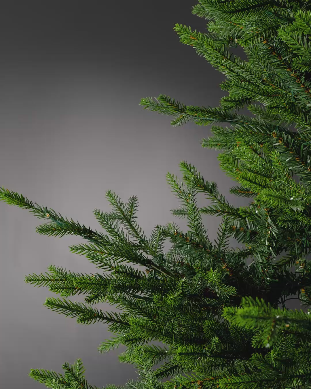 Load video: Black Artificial Poinsettia Flower, 28 cm